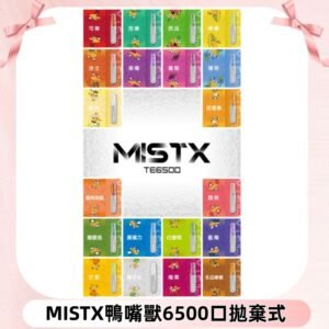 MIST X 鴨嘴獸6500口拋棄式電子煙#台灣現貨#