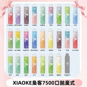 梟客XIAOKE|7500口可發光拋棄式電子煙 跑馬燈一次性